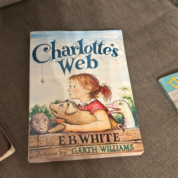 Children's Chapter   Book Collection - Picture 4 of 5